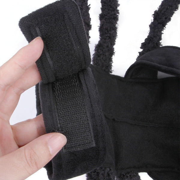 AracnoFancy – Costume Araignée Fun pour Chats & Chiens